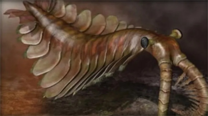 独家，想挖古代寄居蟹化石？3类游戏专属服务器/适配版本/资源全指南