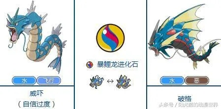 口袋妖怪XY图鉴独家指南，mega精灵解锁、捕捉点位及新手高效收集攻略