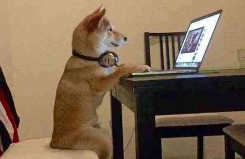 离谱！《三男一狗》被压缩到2.5GB 老电脑都能跑