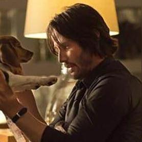 疾速追杀游戏Steam商店页已上线，暂未定名，发售日仍待定