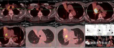 《控制：共振》创作灵感来自X档案和EVA等作品