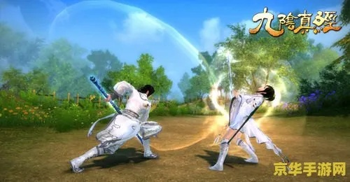 选版本/服务器必看！九阴IP五郎八卦棍武学全攻略，获取、实战与资源适配指南