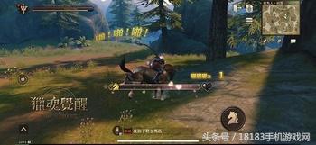 2026魔道觉醒全类型解析，选爆发还是续航？附热门流派实战与装备指南