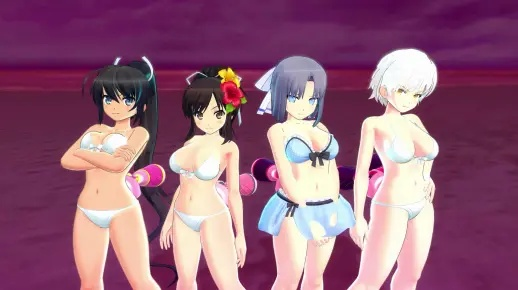 闪乱神乐沙滩戏水怎么玩爽？新手入门、角色强度、联机秘籍全公开