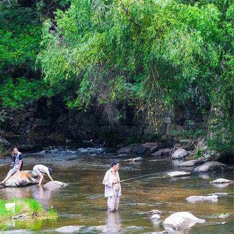 将军令主页终极指南，选服务器/版本领资源？99%玩家错过的专属门道