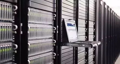 希格雯各服务器版本差异大吗？2026年培养、配队全攻略