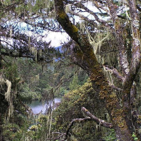 DNF迷雾缭绕类玩法怎么玩？机制拆解、热门需求匹配与实战通关指南