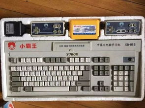 2026年必藏成人小游戏网站大全，如何选安全服务器与专属游戏版本？