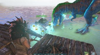 方舟，生存进化从萌新到部落霸主，驯龙优先级、防抄家冷知识、Boss速通全攻略