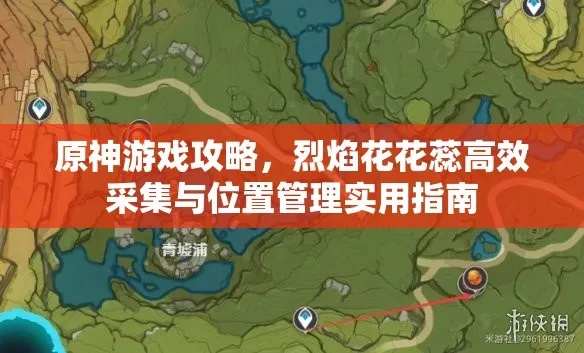 燃烧之花玩不懂？原神资源获取、版本适配、服务器专属玩法全攻略