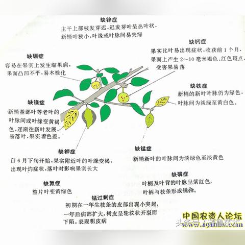 坏死症: 完整意识正式公开，第一人称心理恐怖，完整意识下的坏死恐怖体验