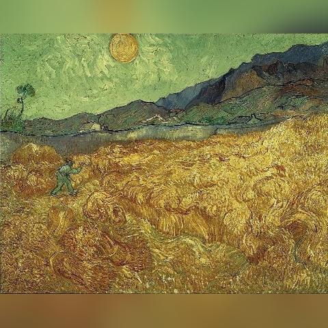 天空传世怎么选？老玩家私藏的服务器/版本测评&稀缺资源全攻略