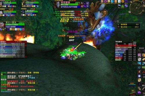 一、菲米丝核心bug类型深度拆解