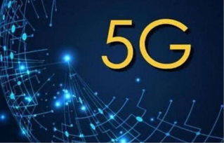 2026日本单机游戏新趋势，哪类玩法精准适配硬核与治愈双需求？