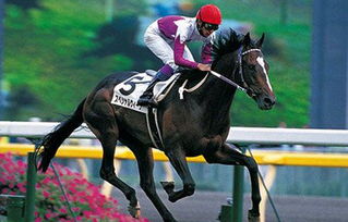 赛马娘美国剧本新增黑皮马娘，玩家为何争议？