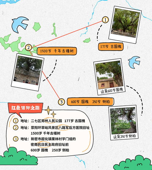 漫游古树怎么高效攻略？4类核心类型拆解+热门需求精准匹配