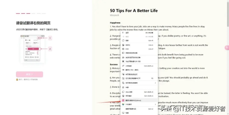 开罗汉化类型大盘点，如何匹配热门需求，精准找到适配自己的汉译版本？
