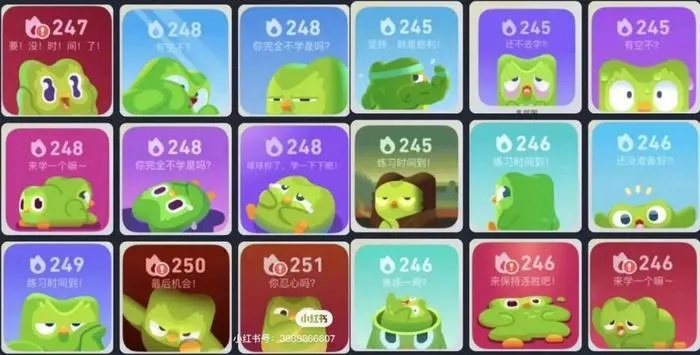 多邻国御三家绿色鸟引共鸣 宝可梦新作玩梗成热点