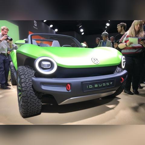 重生细胞2026版，从零细胞到五细胞无伤速通？核心套路+冷门搭配全攻略