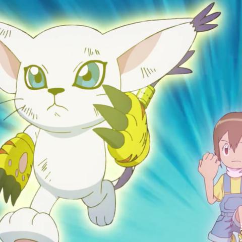 神圣天女兽值得练吗？疫苗型天使究极体的培养、技能与实战全指南