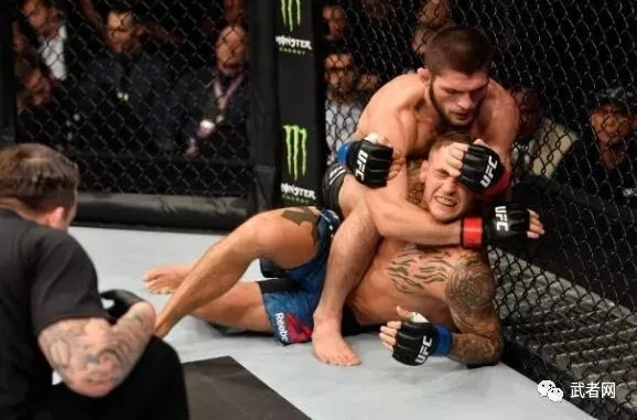 哈比布类型缠斗流格斗角色怎么称霸？地面压制实战技巧全攻略