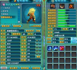 诛仙2新手卡类型全拆解，匹配热门需求的新手快速进阶指南2026