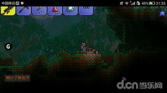 泰拉瑞亚肉山全攻略，新手无伤速通、专家模式打法、后肉山剧变解析