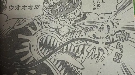 海贼王1047话独家情报解析，尼卡果实觉醒藏着哪些颠覆海贼战力的核心伏笔？