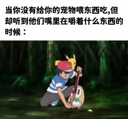 白宫发宝可梦政治梗图引关注 宝可梦官方回应未授权