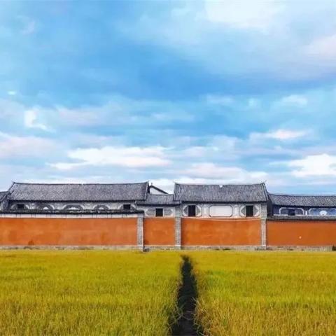 玩蔚蓝战争总卡关？独家实测，阵容搭配+资源高效利用全解析