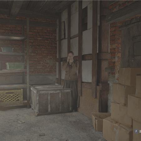 生化危机6人物类型怎么选？适配热门玩法需求的实战攻略全解析