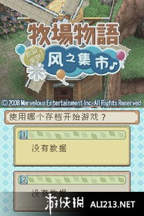 牧场物语风之集市，2026私藏攻略｜集市冲榜、恋爱速通、日入万G赚金门道