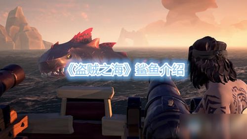 杀戮尖塔2在线破57万，玩家调侃热度要超丝之歌了？