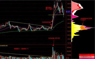 陈睿B站核心角色拆解，锚定Z世代刚需的3大生态操盘逻辑