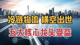 网易终止名越稔洋资金支援，龙帮前途堪忧玩家揪心
