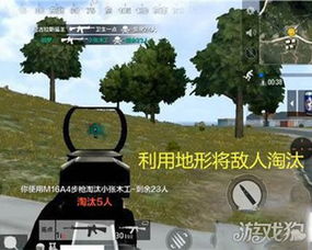 花园战争到底分哪些类型？新手快速精通草坪攻防的实战指南