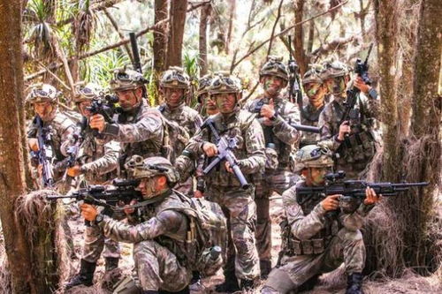 特种部队官方下载避坑全指南，正版渠道、提速技巧与隐藏福利全解析