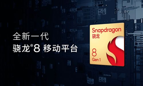 怂了？ 原定于3月8日发布的《女性模拟器》宣布延期