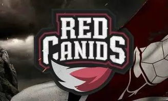 LOLS赛夺冠名额仅1个？巴西选手怒喷引玩家热议