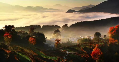 月光岭物语 ～Moonlight Peaks～NS2/NS版发售日确定，2026年7月9日