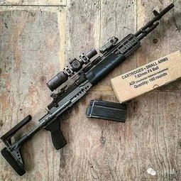 CF M14EBR全维度攻略，精准步枪黑马？配件搭配/压枪技巧/排位实战全解析