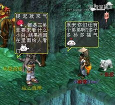 信长之野望13天道，从萌新到天下人｜开荒避坑+合战神配+内政爆产全攻略