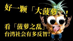 美妙世界从萌新到死神级，独家卡组搭配、高难任务通关+隐藏徽章全解析