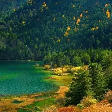 火影忍者疾风传手游，新手30天冲100万战力？附秘境通关实战全技巧