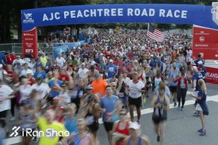 一、甲组，豪门云集的冠军赛道，核心是极致压制