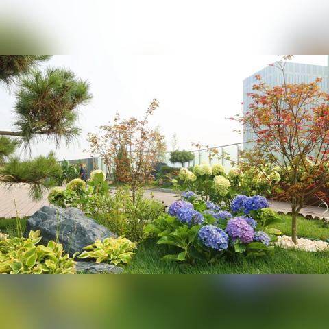 星际争霸2视频站怎么挑？覆盖赛事/教学/复盘，精准匹配玩家核心需求