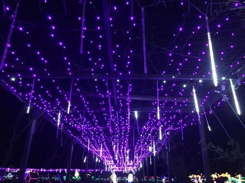 光影主题3D平台传送解谜THANKS, LIGHT.2026年9月上线