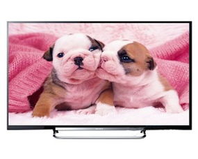 索尼定向提价曝光，三男一狗成首个测试游戏，玩家担忧后续涨价