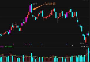 严阵以待DLC3 「临界点」现已上线