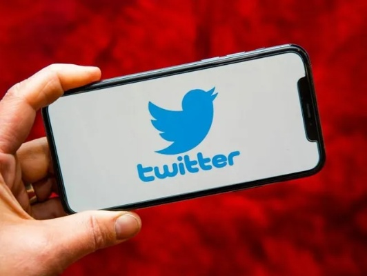 推特下周解封3类账号，创作者自救、品牌流量复苏全指南